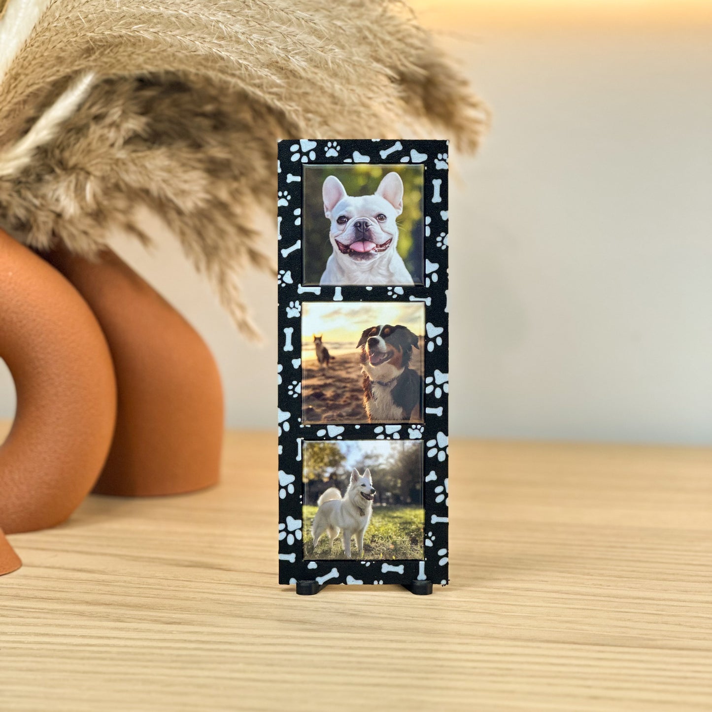 MZ Paws Collection