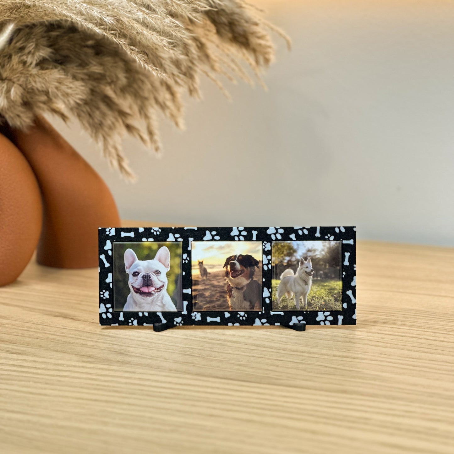 MZ Paws Collection